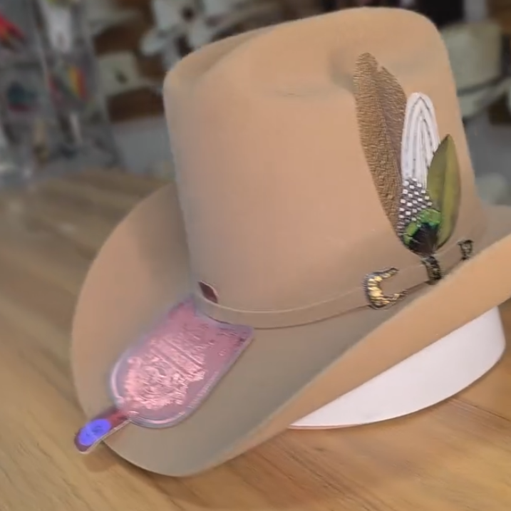 Elegant Playful Hat