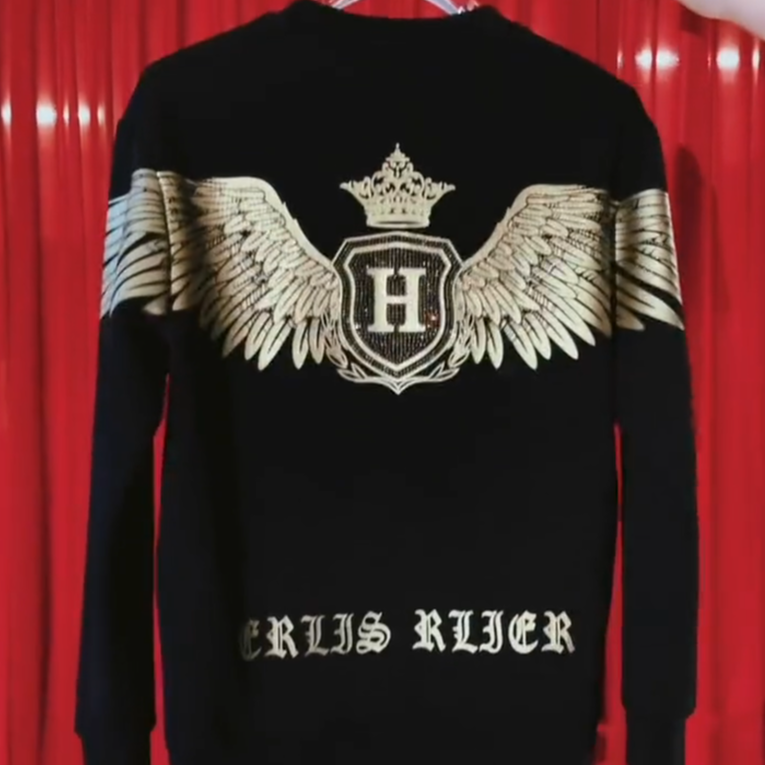 Wings Hoodie