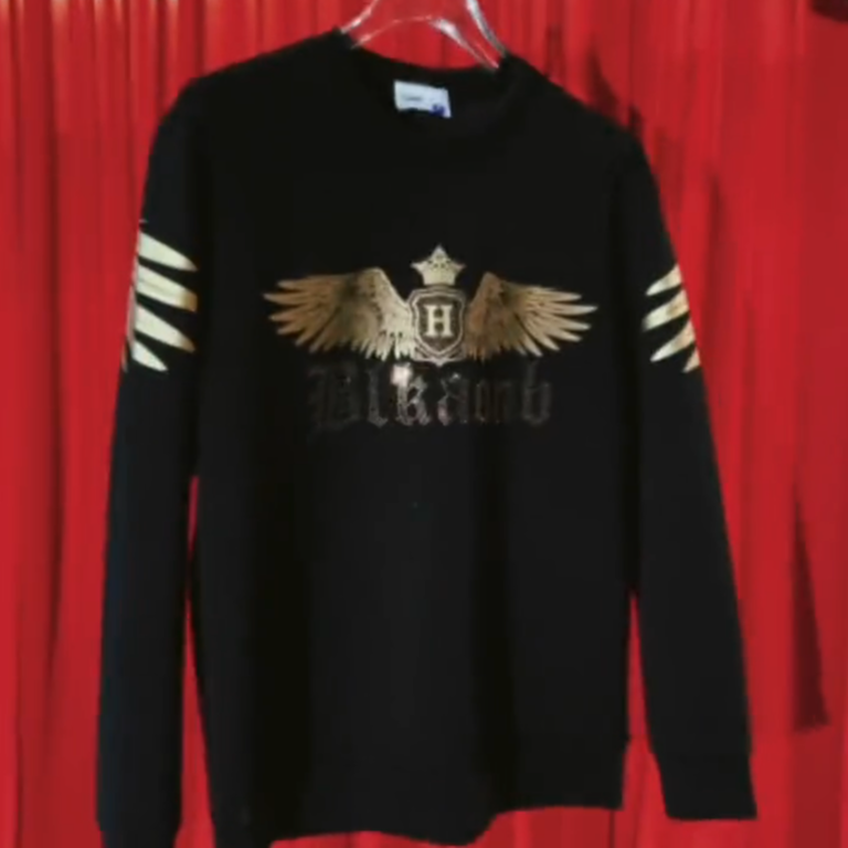 Wings Hoodie