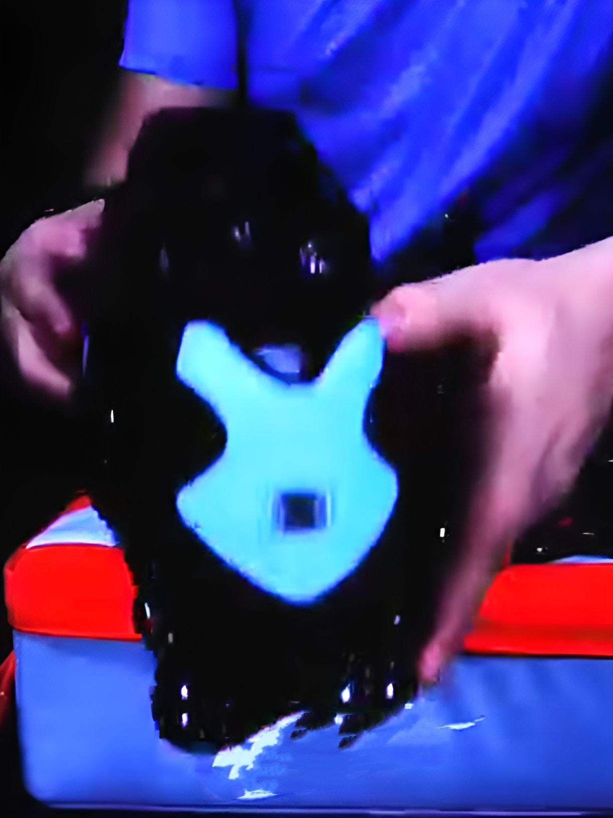 Black Platform Sneakers with Blue Logo