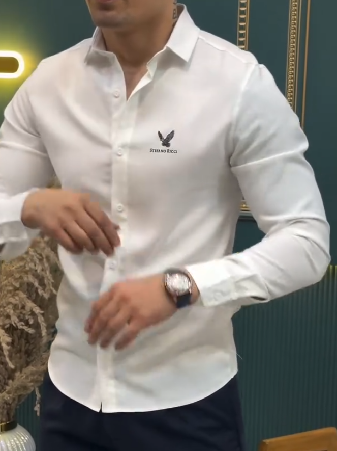 Eagle Stretch Versatile Shirt