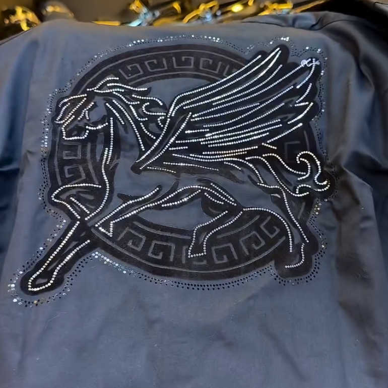 Pegasus men's shirt
